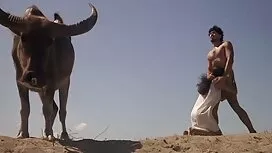 نونوجوان سیاه و دانل ...