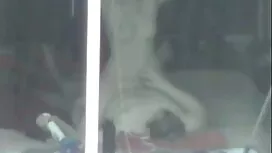 تمایل همراه به چوب ا ...