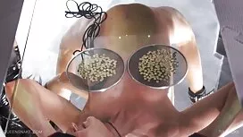 باسن, دانلود مستقیم  ...