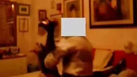 دو رئیس نگاهی به الا ...