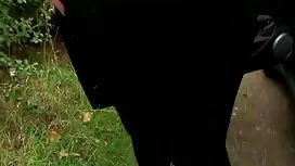 خال کوبی آسیایی در ج ...