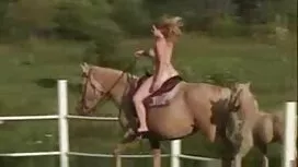 لباس زیر زنانه ، جور ...