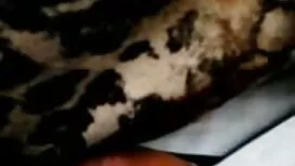 یک آمریکایی در دانلو ...