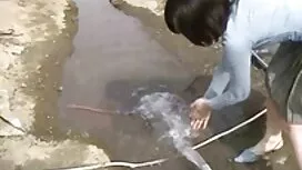 بزرگ سیاه و سفید دیک ...