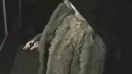 مرد جوان خوش فیلم پو ...