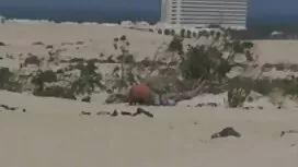 این هیجان انگیز نوجو ...